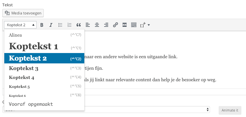 H1 en H1 Headers SEO On Page