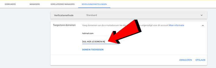 domein toevoegen google ads