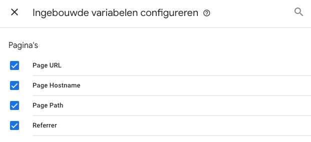Tag Manager variabele pagina