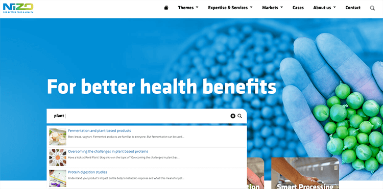 auto complete zoekfunctie website