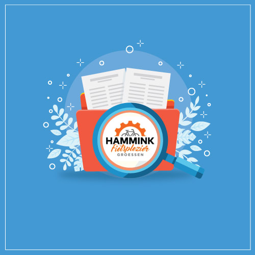 Hammink Fietsplezier