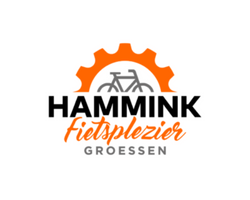 Hammink Fietsplezier